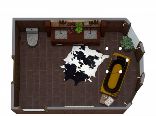 Dark Rustic Bathroom Layout 