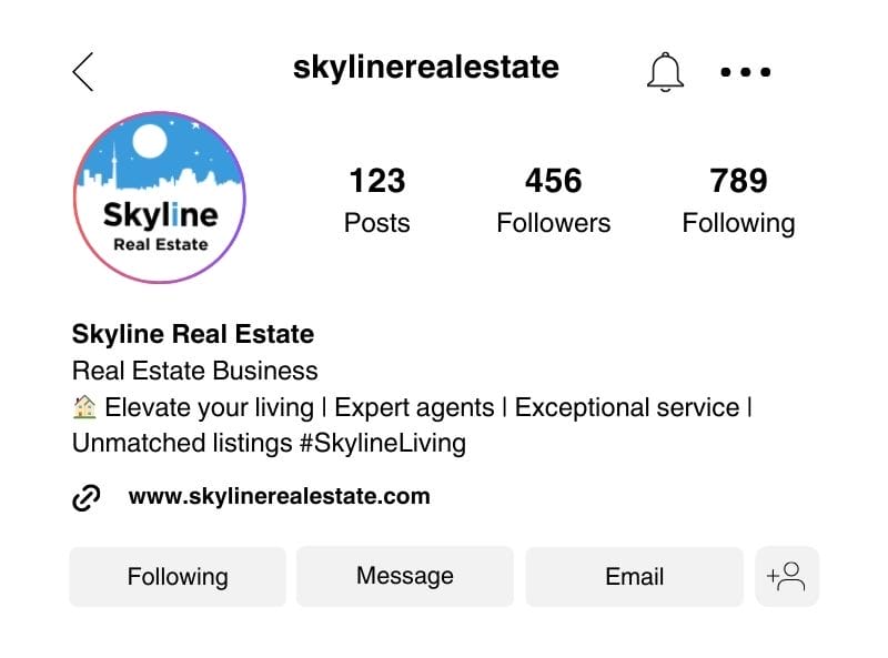 Skyline Real Estate Instagram bio